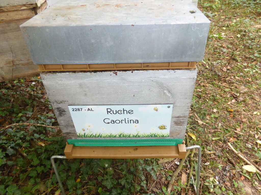 La ruche Caorlina