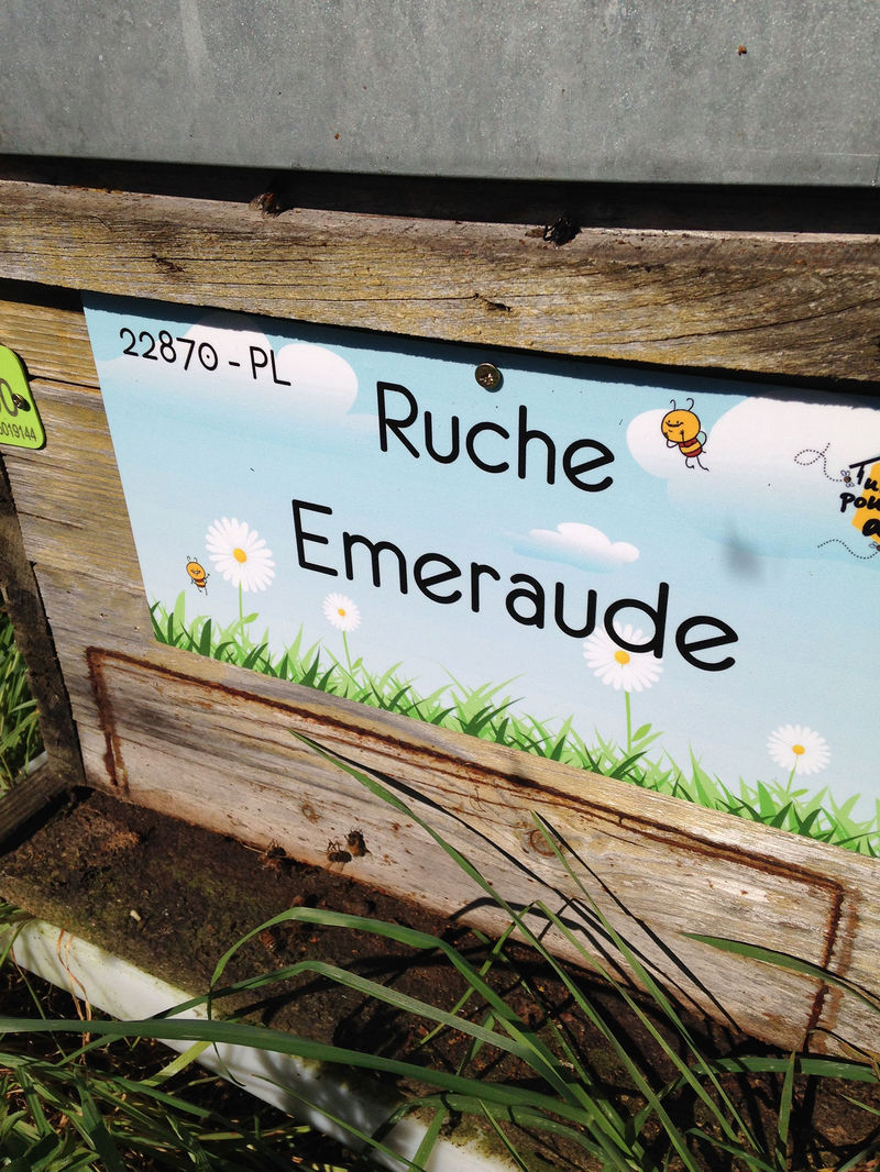 La ruche Emeraude