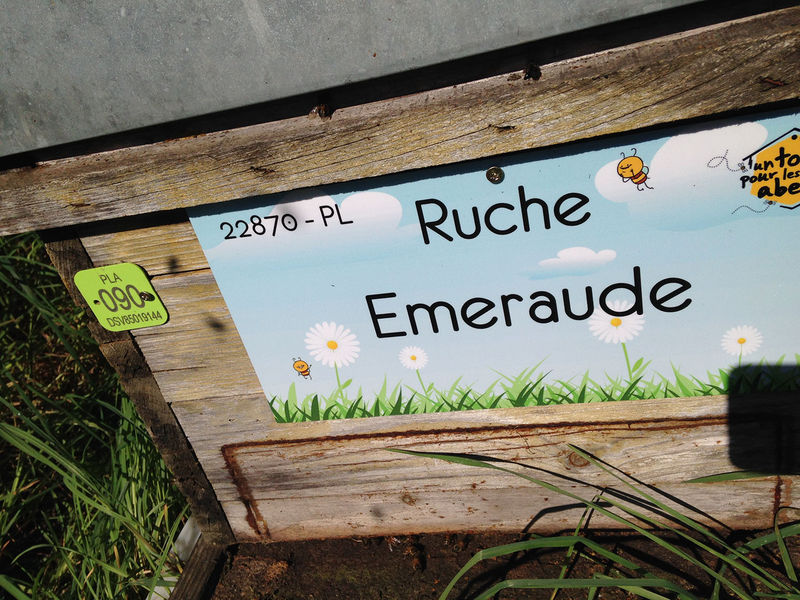 La ruche Emeraude