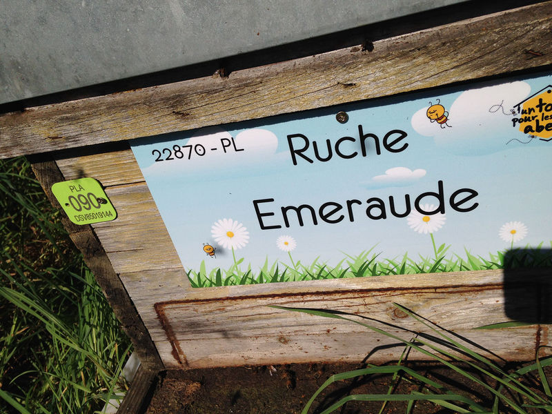 La ruche Emeraude
