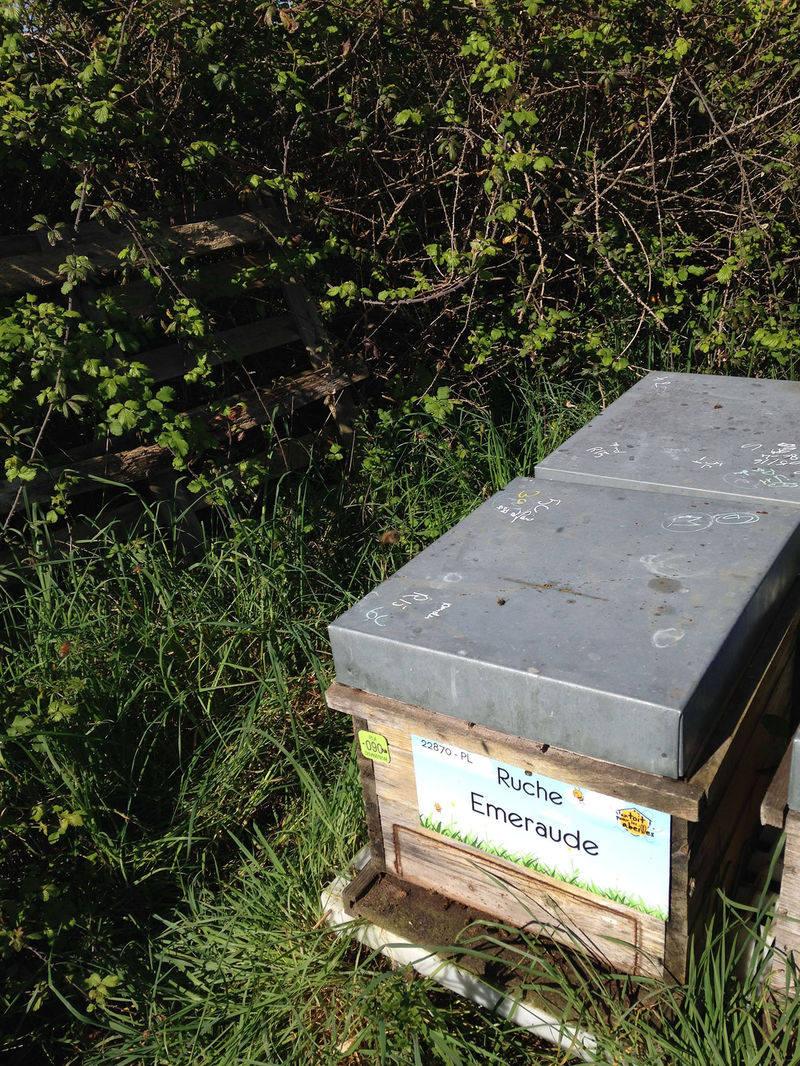 La ruche Emeraude