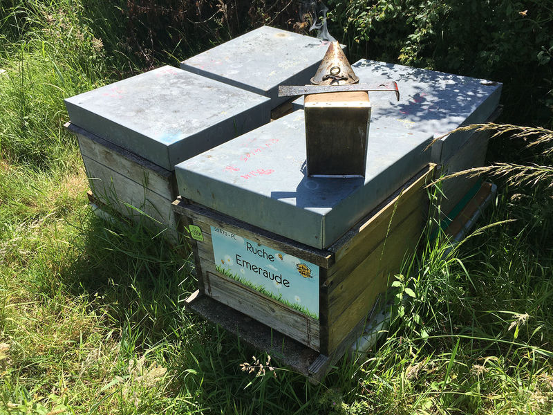 La ruche Emeraude