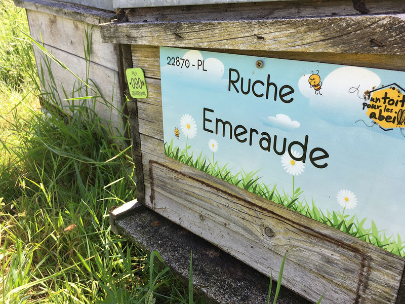 La ruche Emeraude