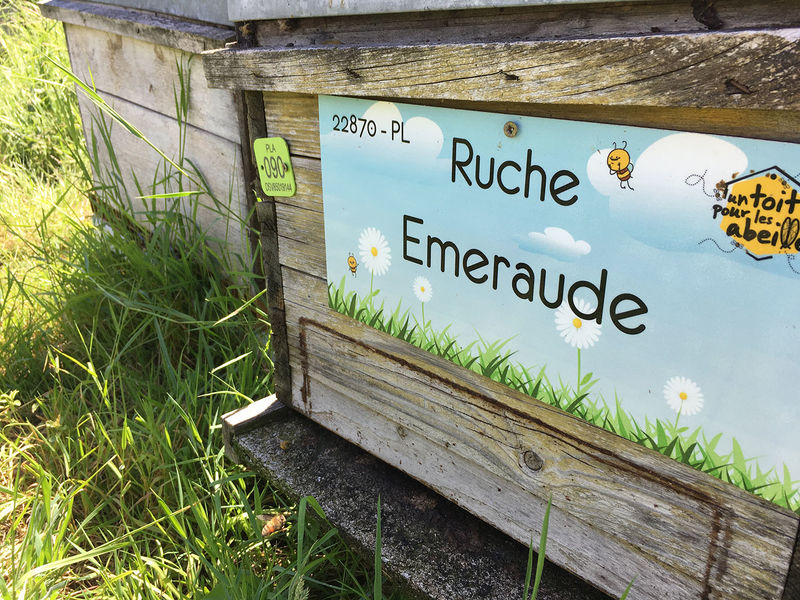 La ruche Emeraude
