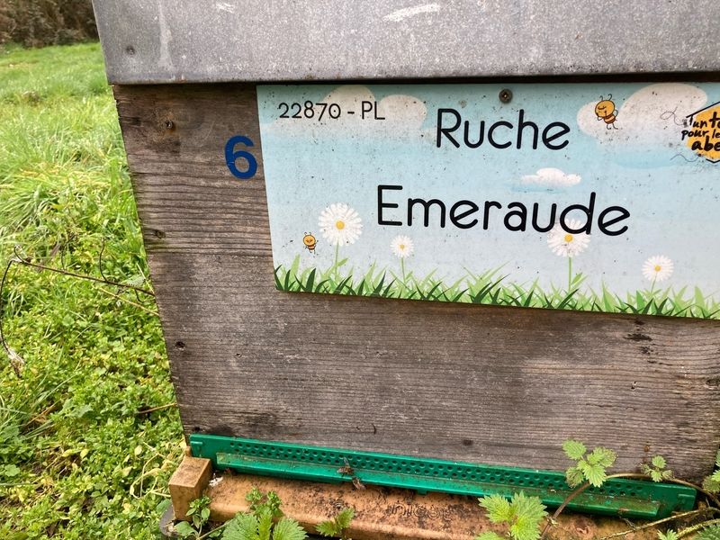 La ruche Emeraude