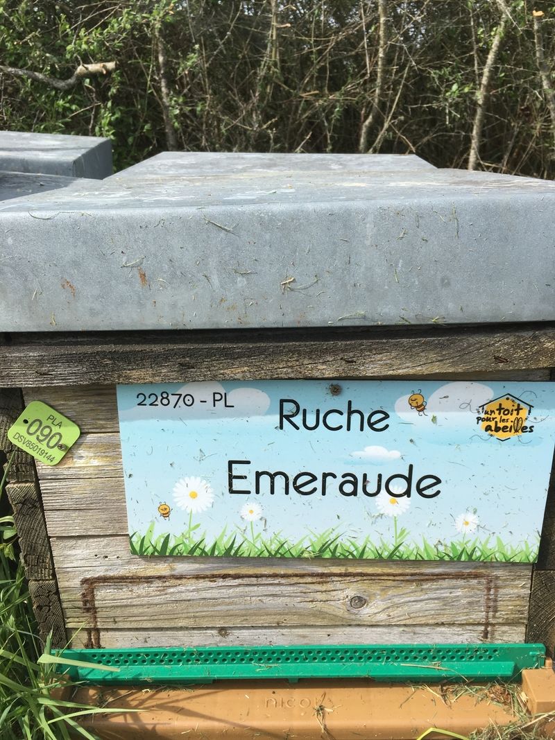 La ruche Emeraude