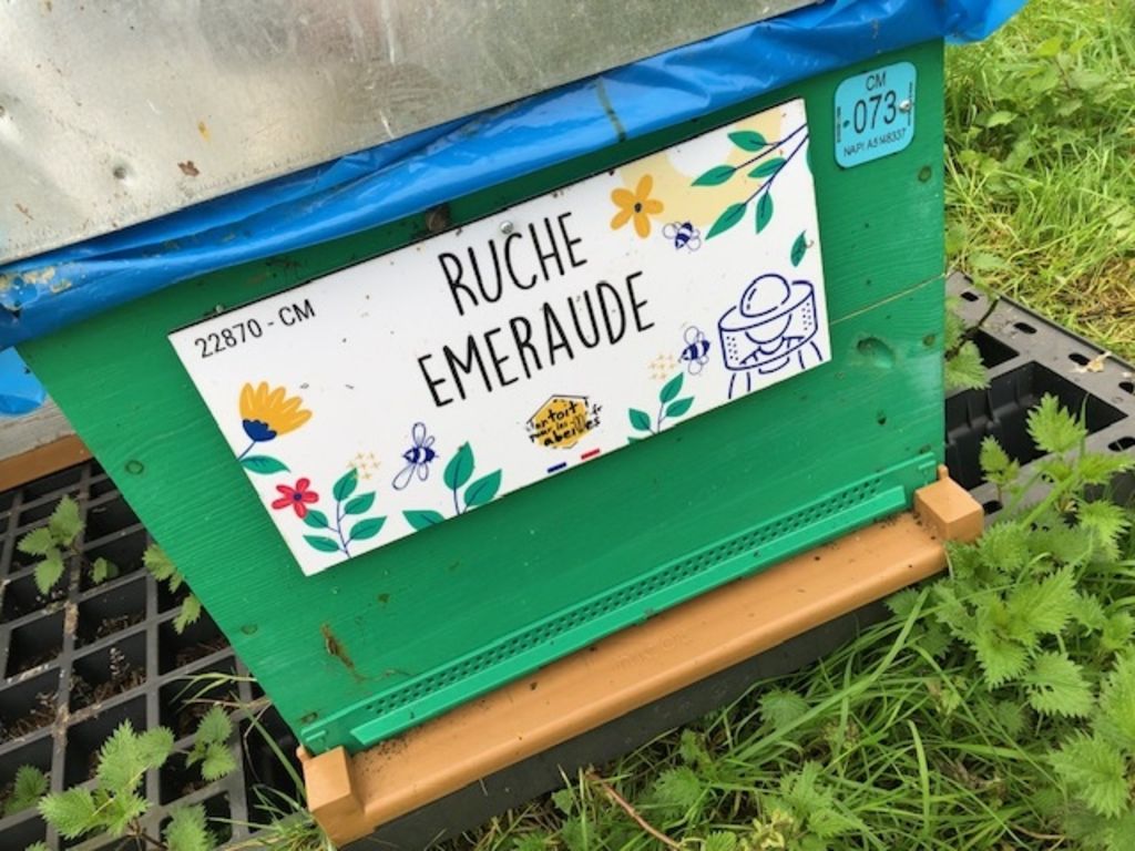 La ruche Emeraude