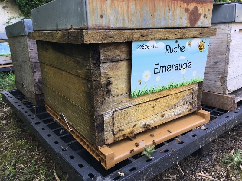 La ruche Emeraude