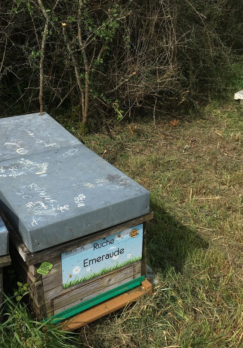 La ruche Emeraude