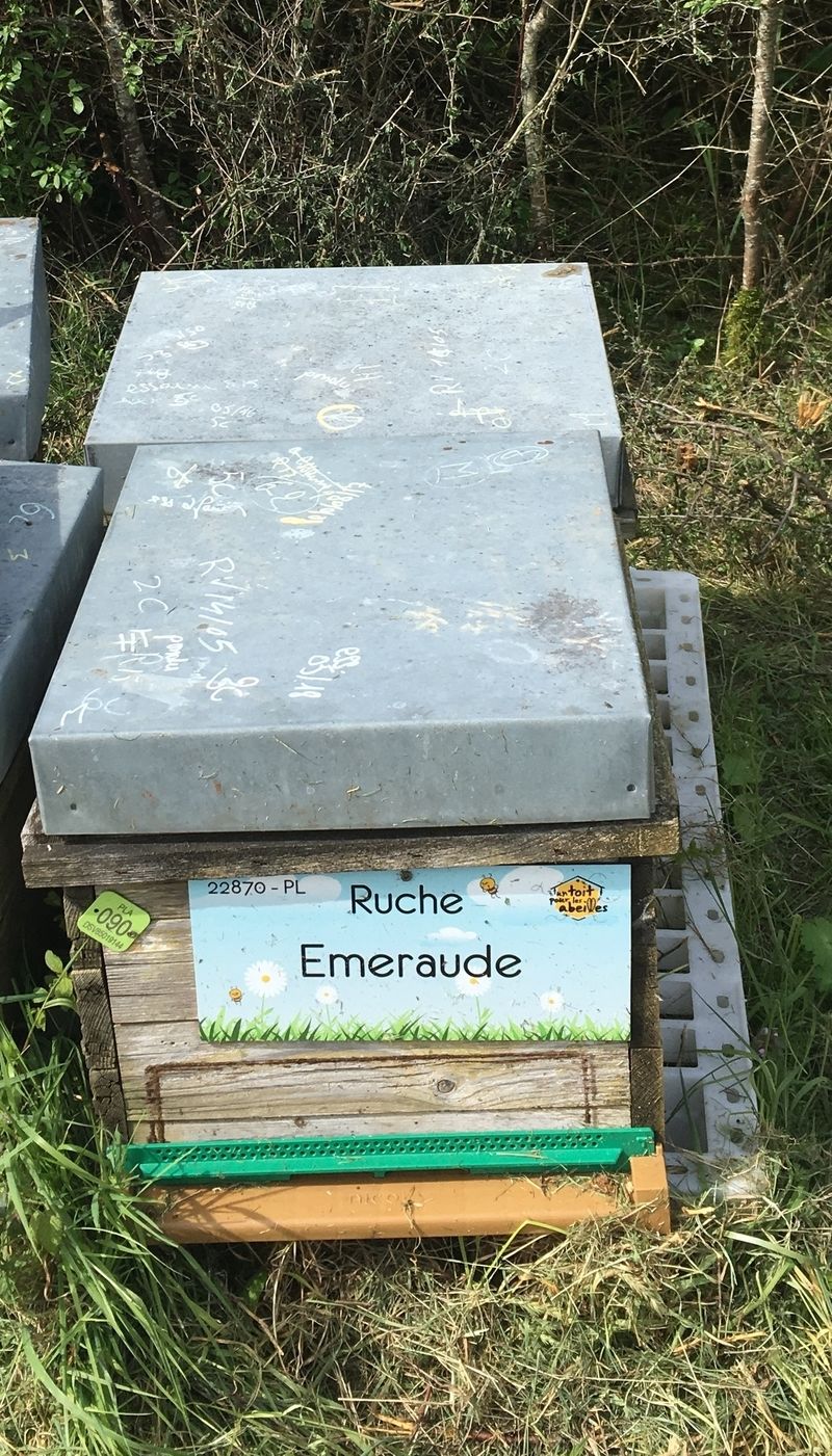 La ruche Emeraude