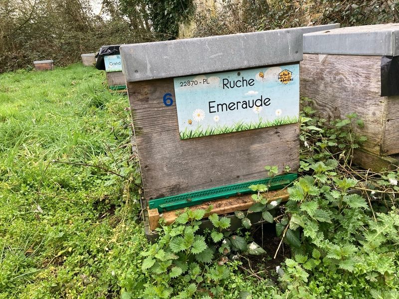 La ruche Emeraude