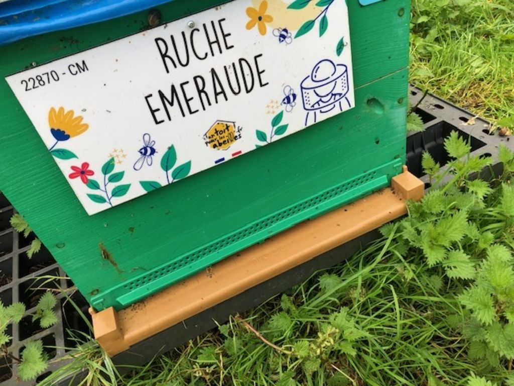 La ruche Emeraude