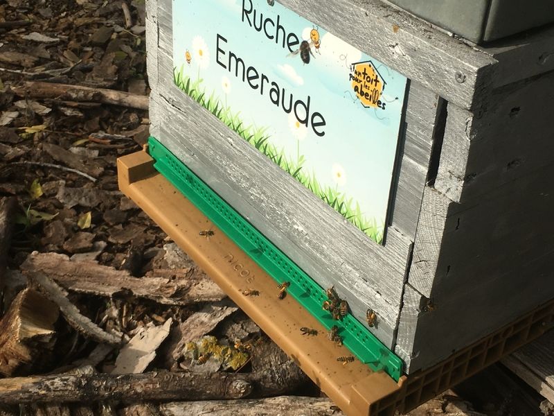 La ruche Emeraude