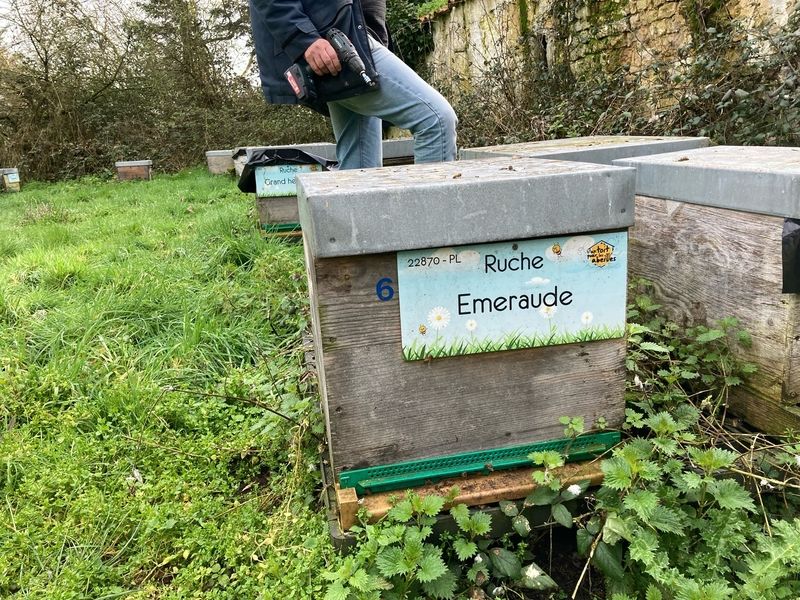 La ruche Emeraude