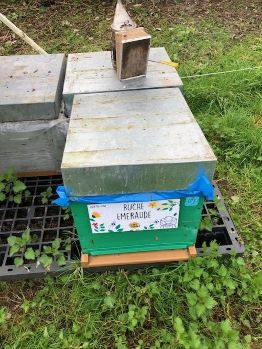 La ruche Emeraude