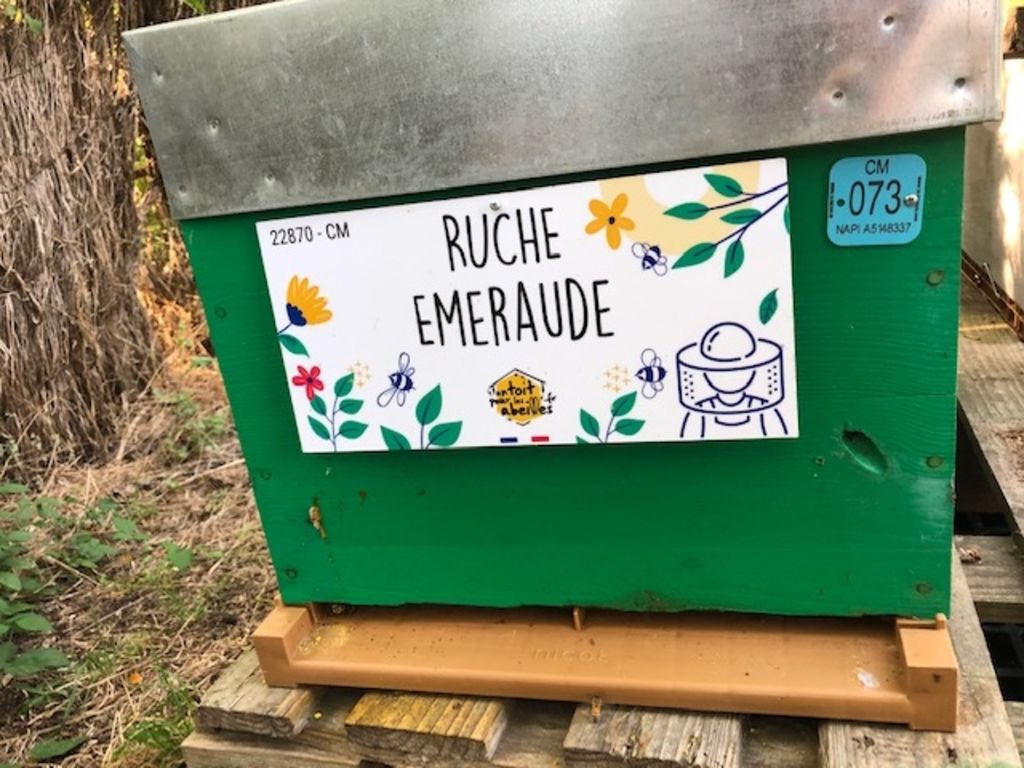 La ruche Emeraude