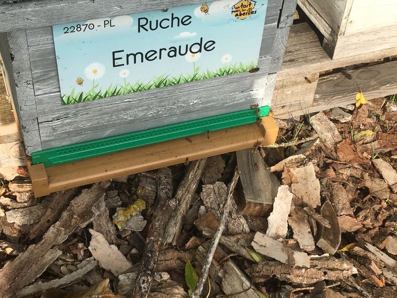 La ruche Emeraude