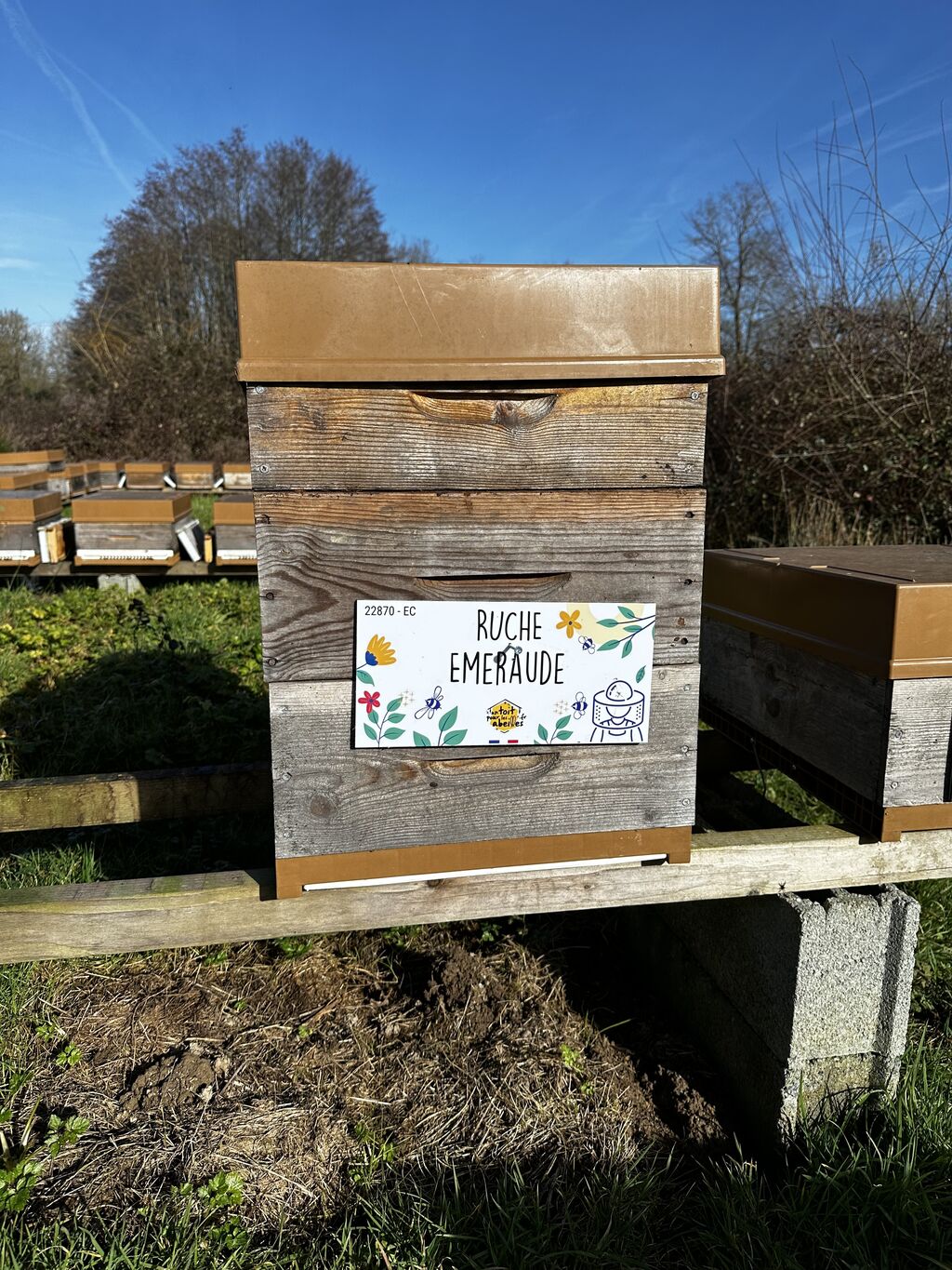 La ruche Emeraude