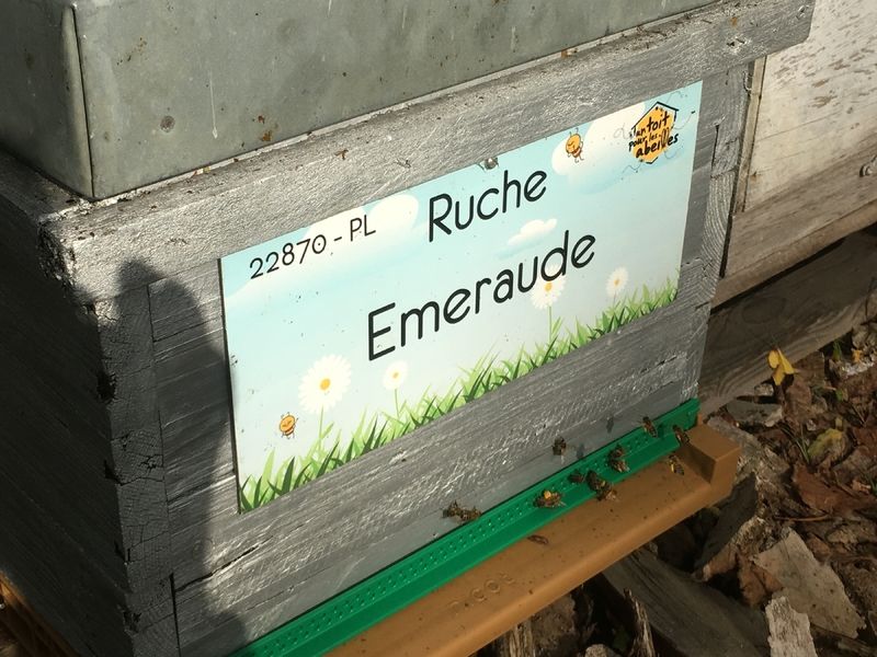 La ruche Emeraude