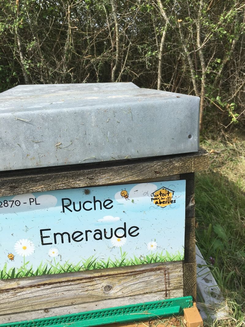 La ruche Emeraude