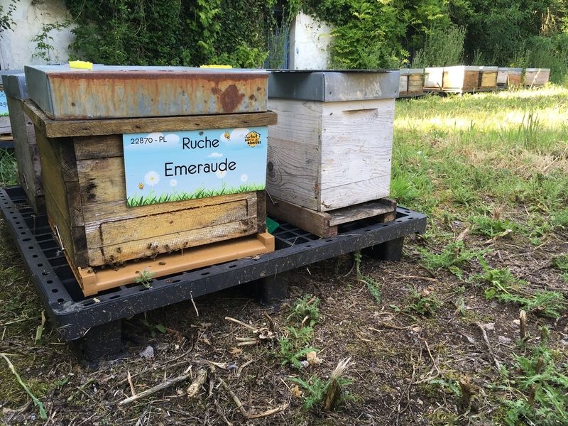 La ruche Emeraude