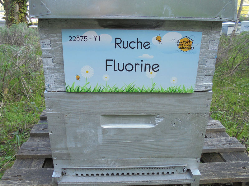 La ruche