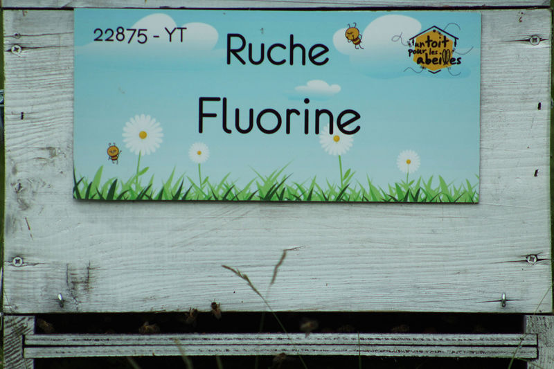 La ruche Fluorine