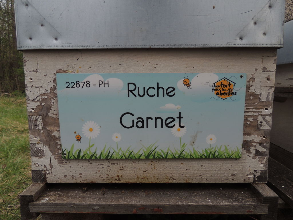 La ruche Garnet