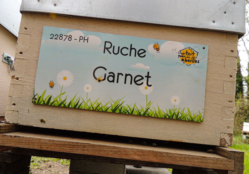 La ruche Garnet