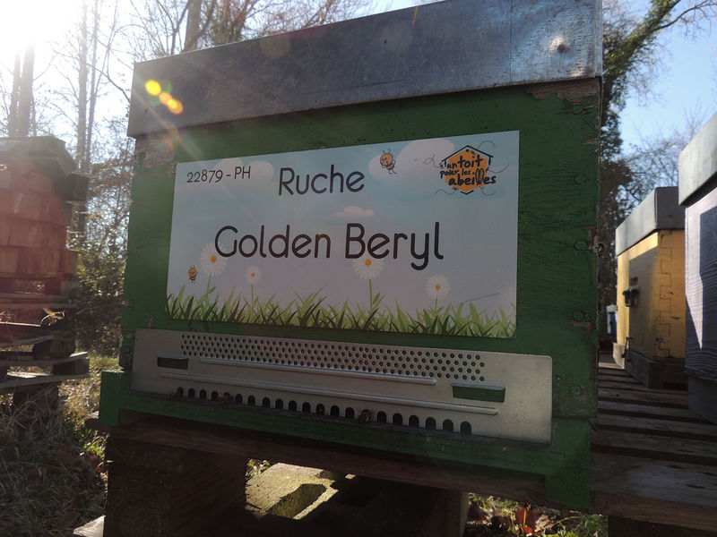 La ruche