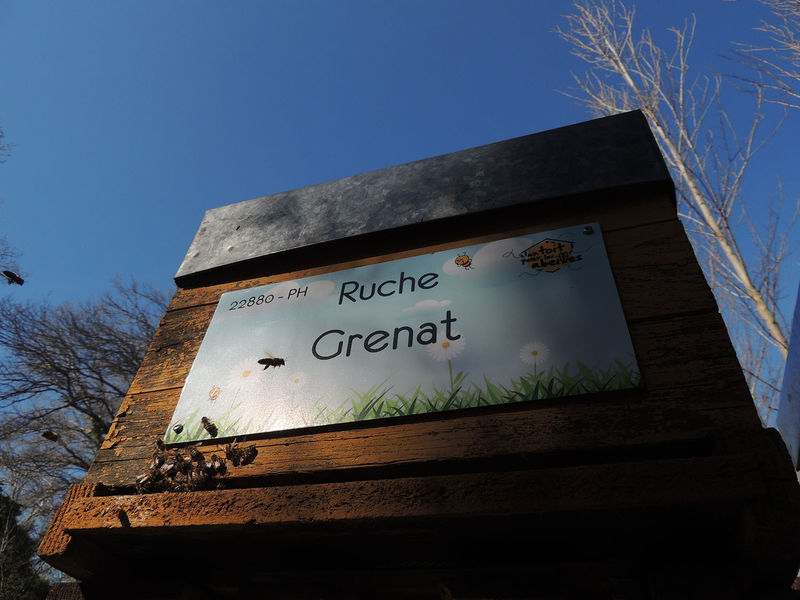 La ruche