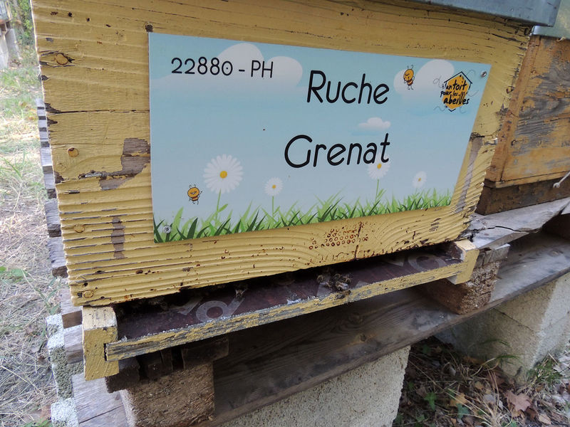 La ruche Grenat