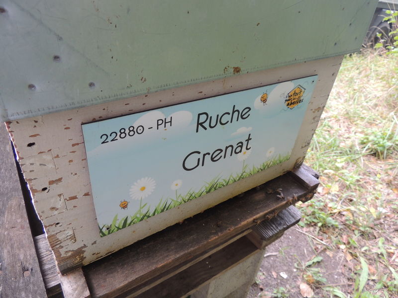 La ruche Grenat