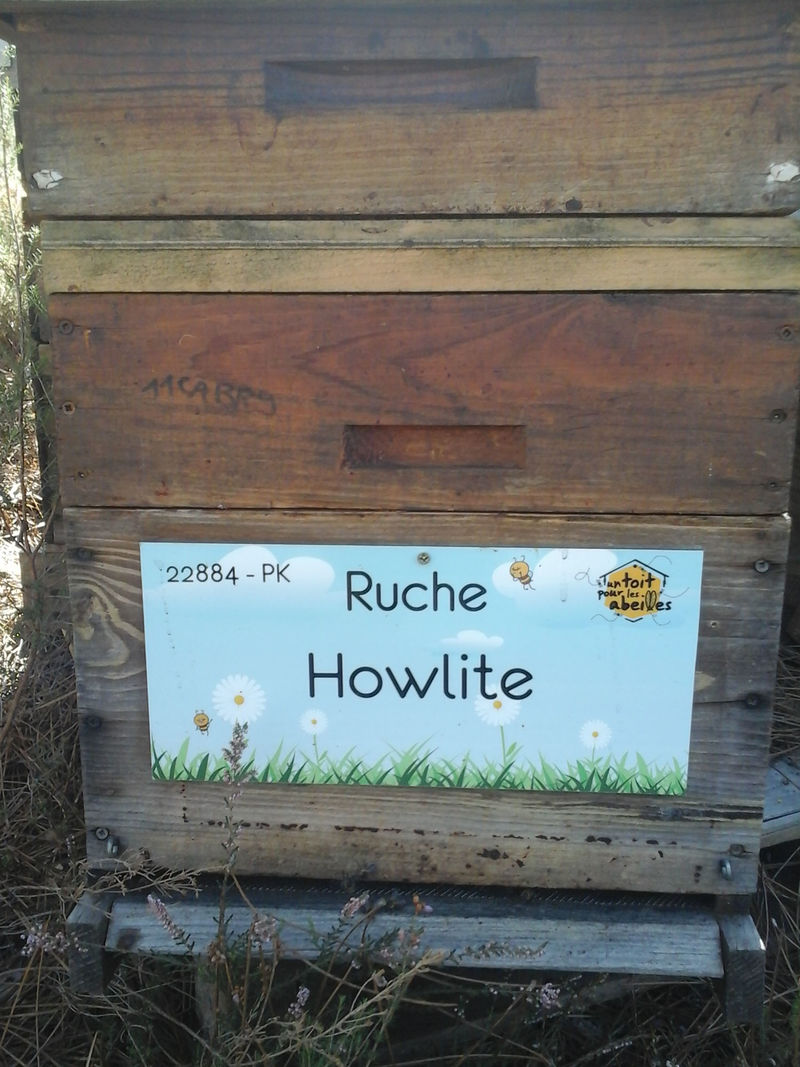 La ruche Howlite