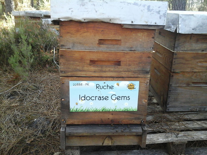 La ruche Idocrase Gems