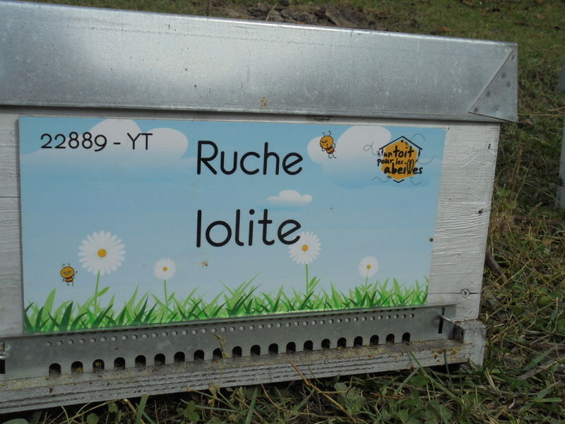 La ruche
