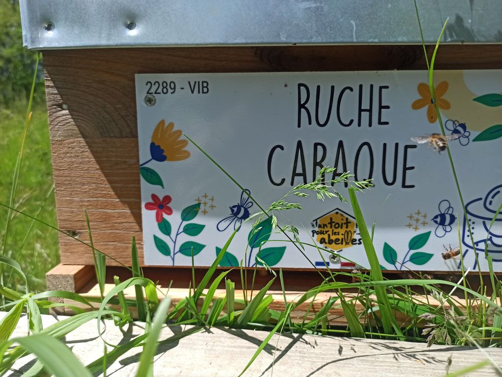La ruche Caraque