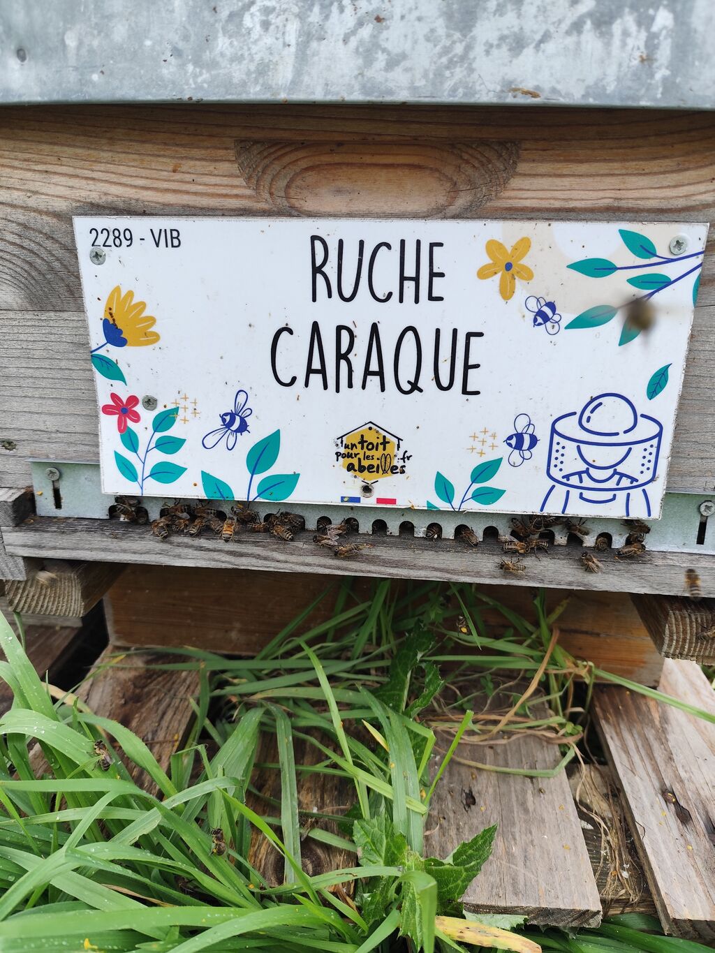 La ruche Caraque