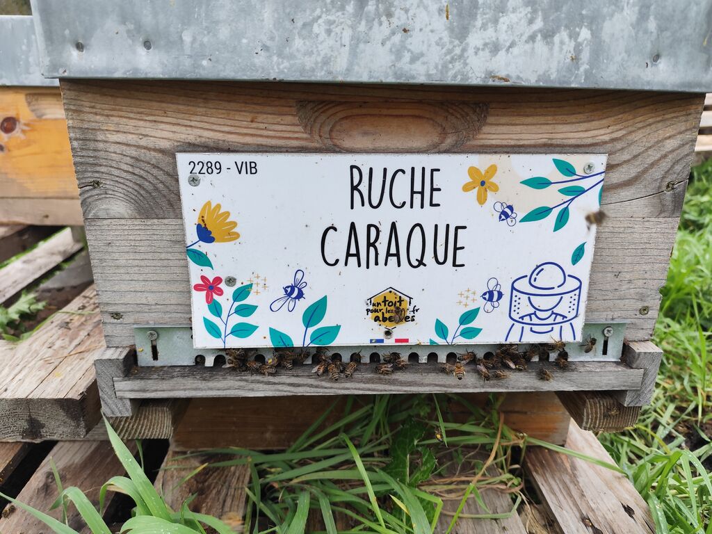 La ruche Caraque