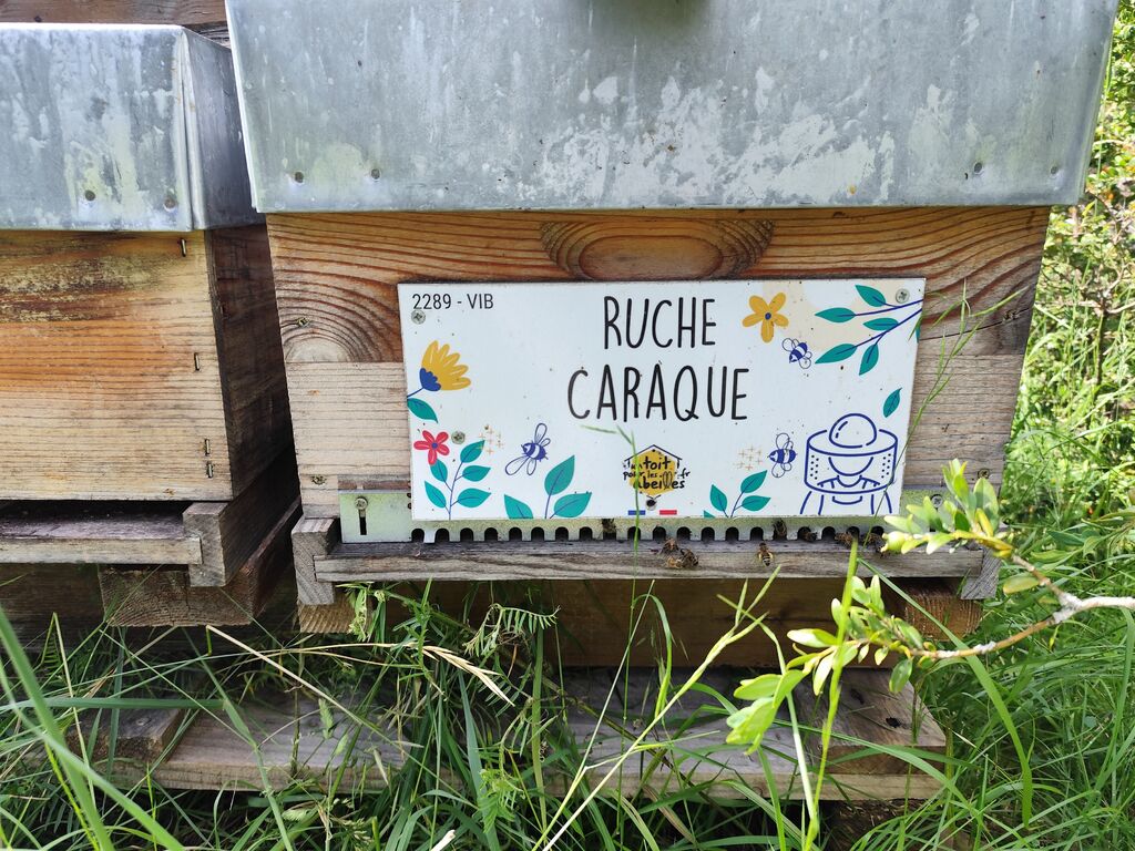 La ruche Caraque