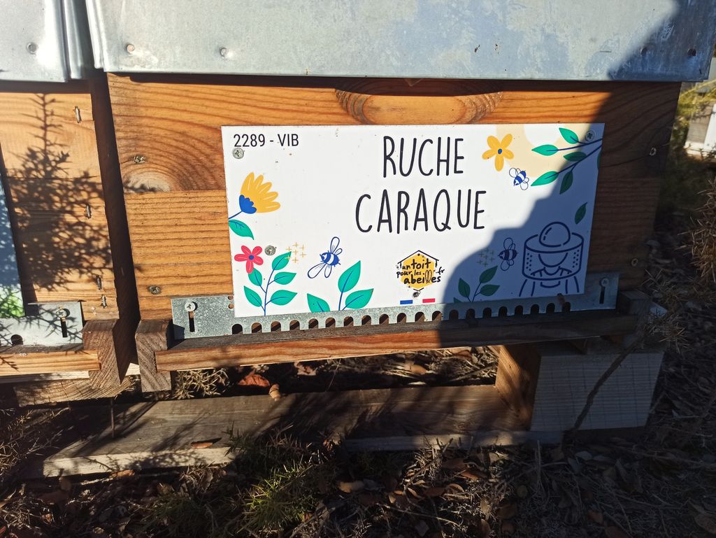 La ruche Caraque