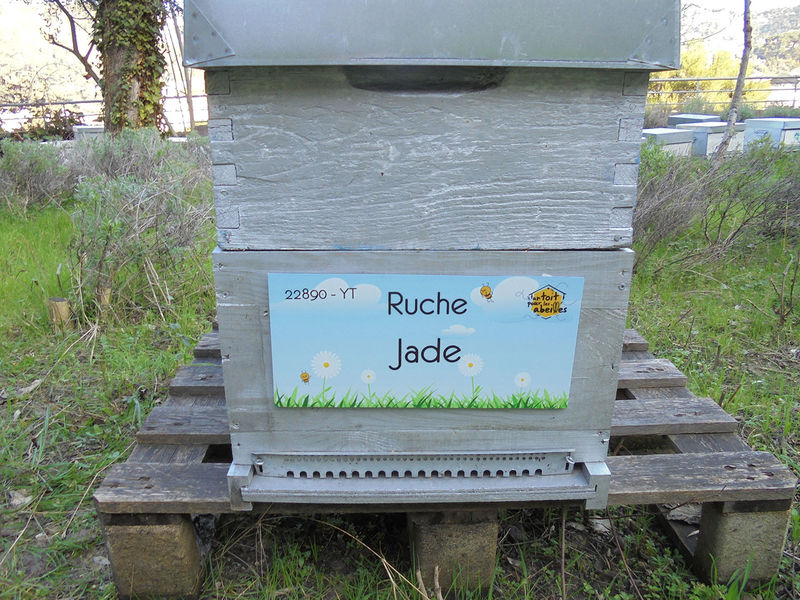 La ruche