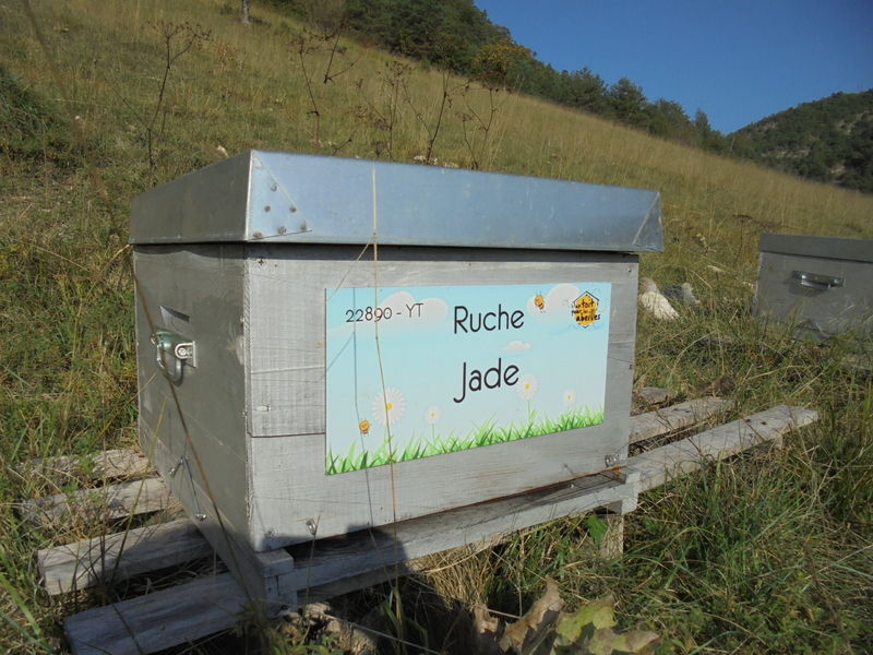 La ruche Jade