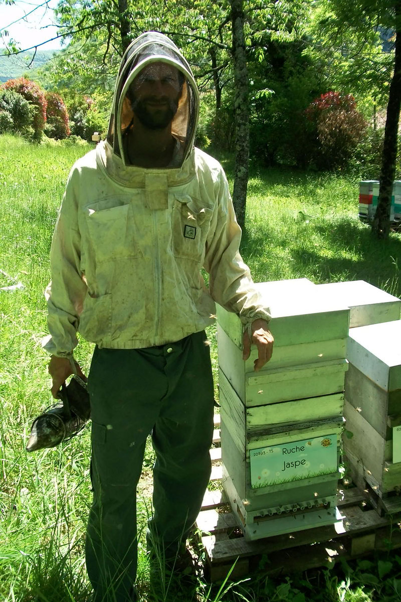 La ruche Jaspe