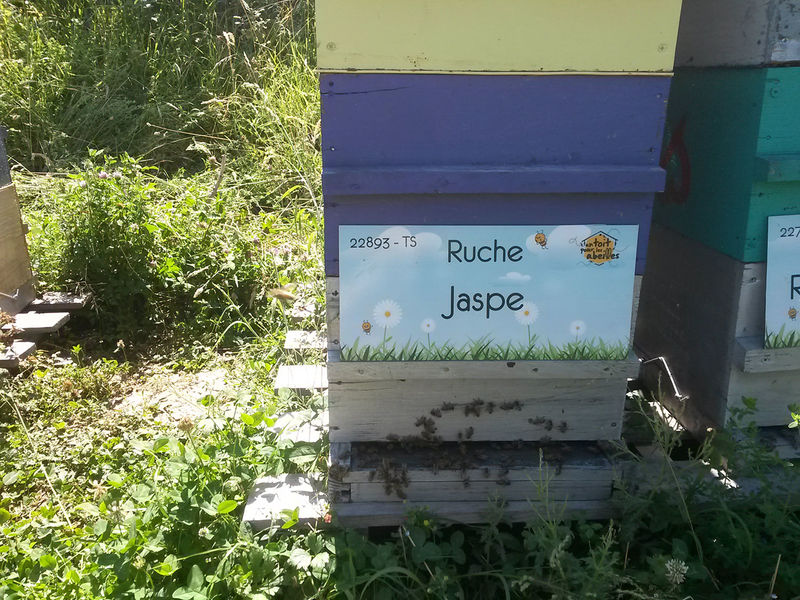 La ruche Jaspe