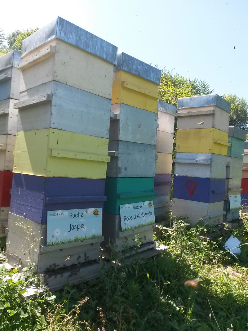 La ruche Jaspe