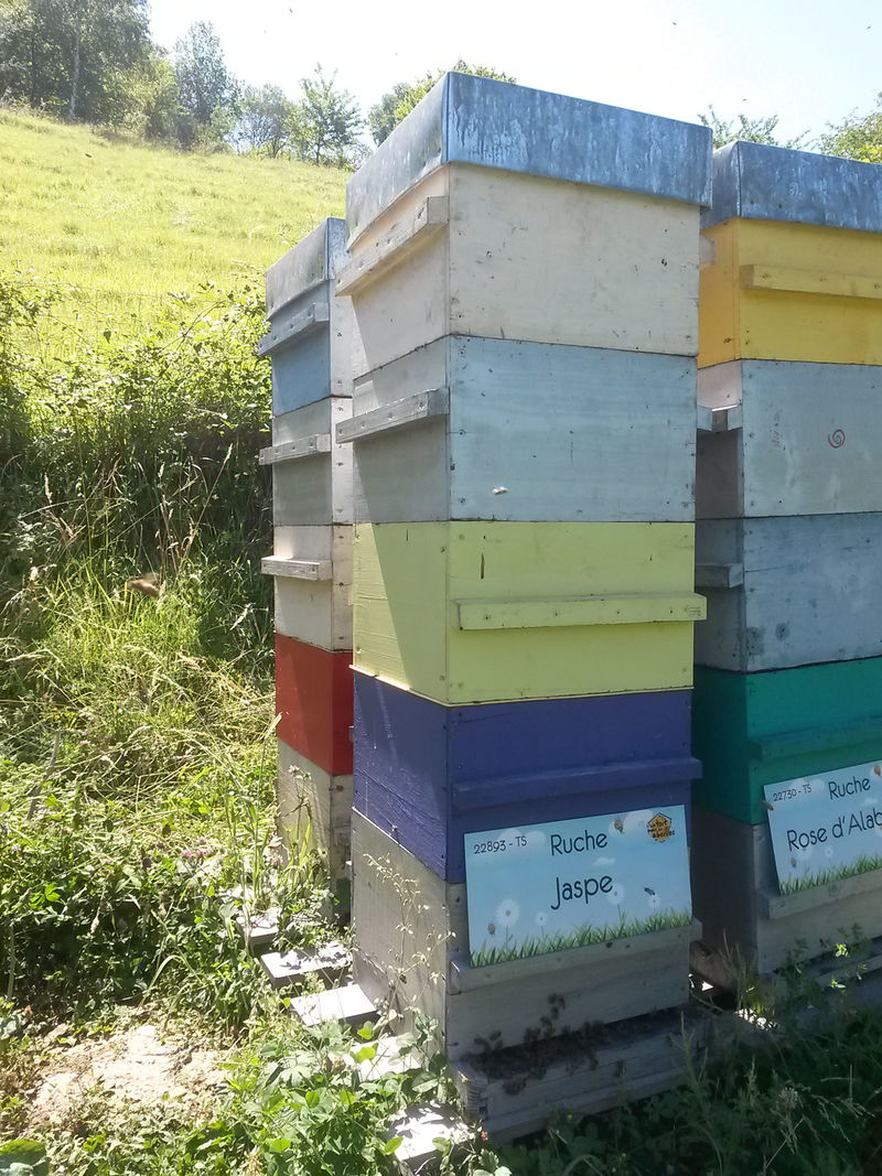 La ruche Jaspe