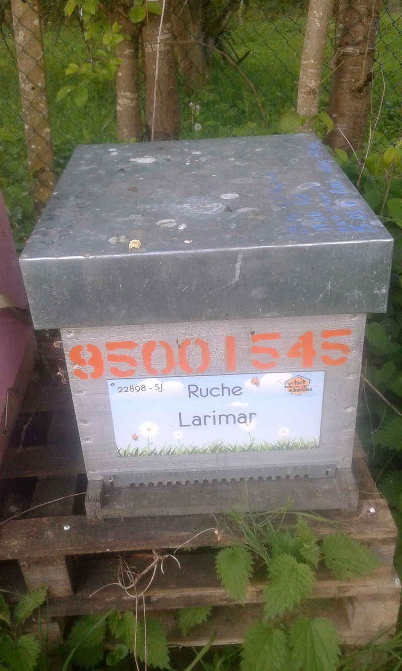 La ruche