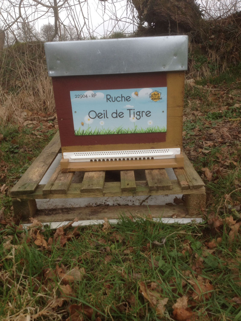 La ruche