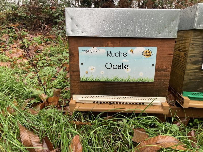 La ruche Opale